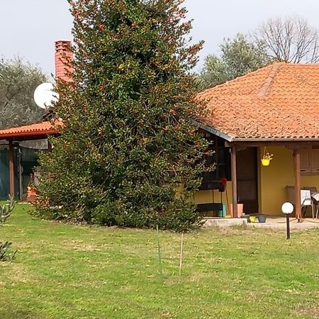 Olympos House Villa Litókhoron Eksteriør bilde